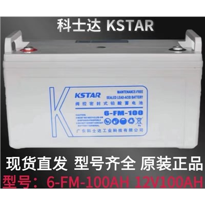 科士達/Kstar 6-FM-100 蓄電池100AH固定性密封免維護12V用于EPS/UPS不間斷電源